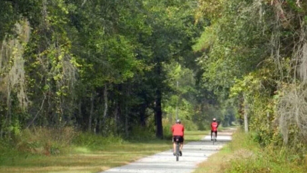 Photo of Others in Gainesville