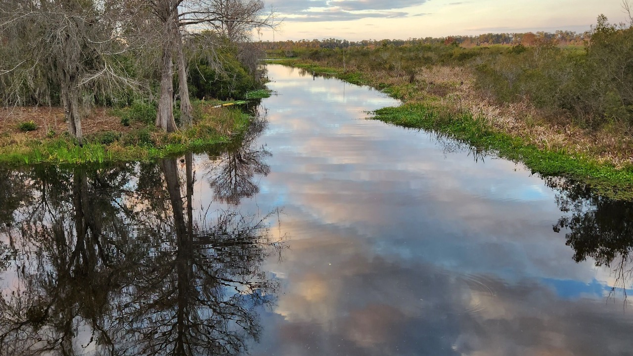 Photo of Others in Citrus Springs