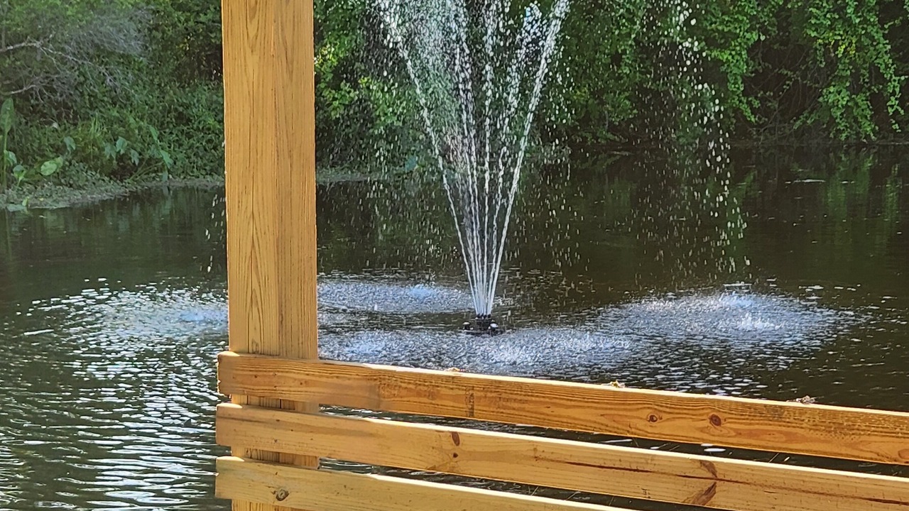 Photo of Outdoor in Citrus Springs