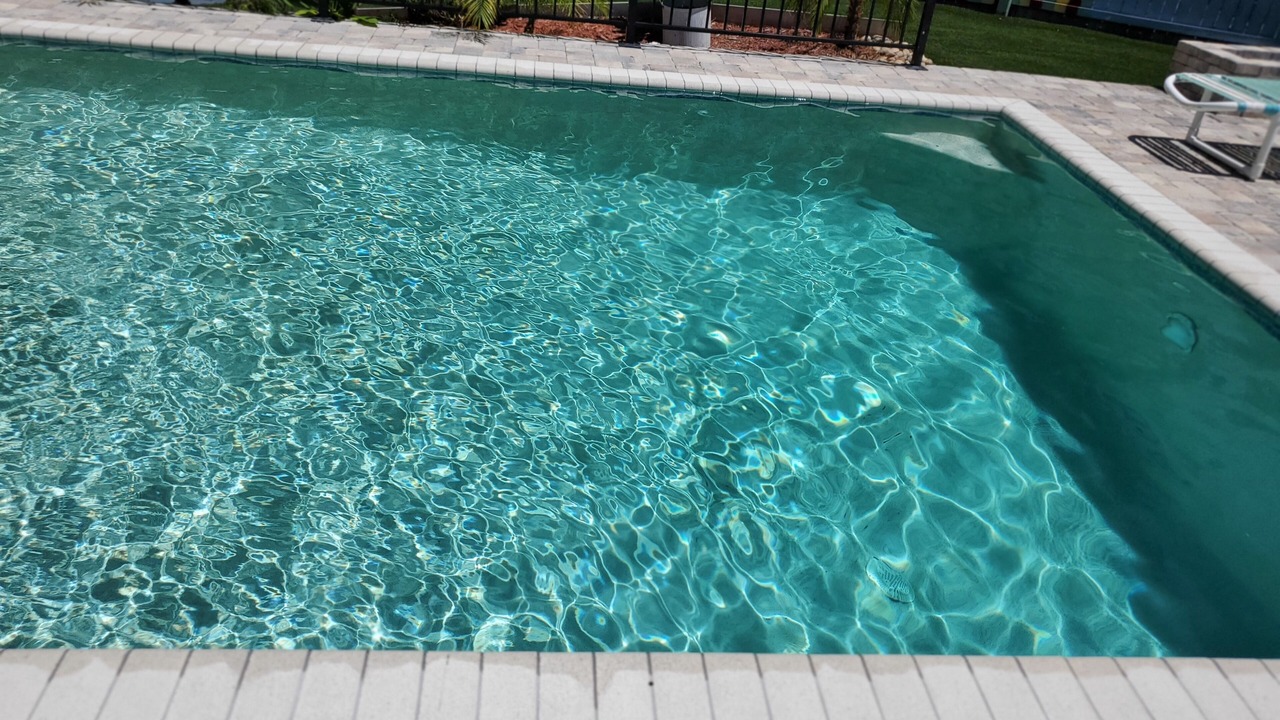 Photo of Outdoor in Clearwater