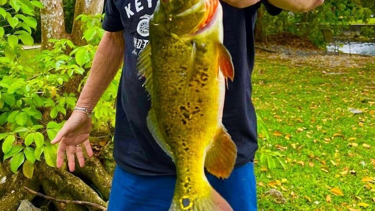 Photo of Others in Palmetto Bay