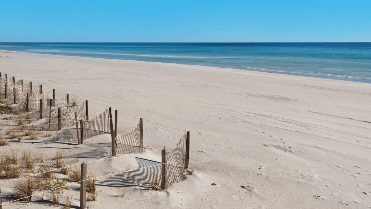 Photo of Others in Dune Allen Beach