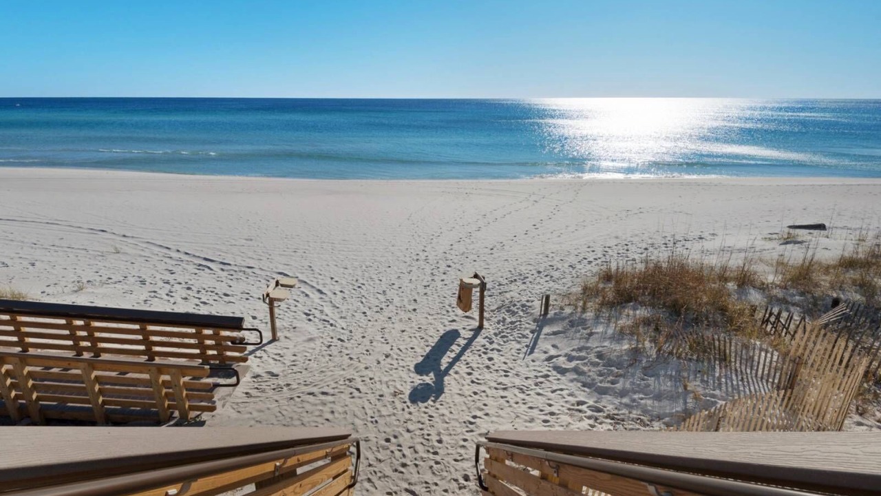 Photo of Others in Dune Allen Beach