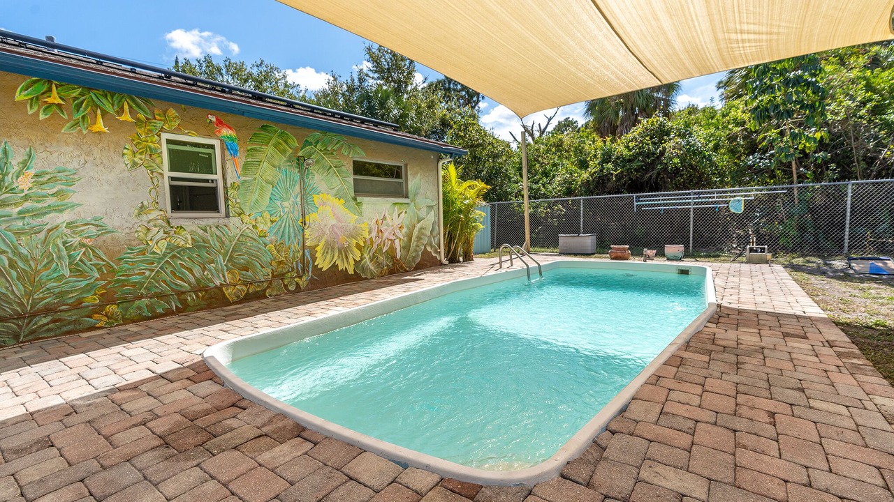 Photo of Outdoor in Pinellas Park