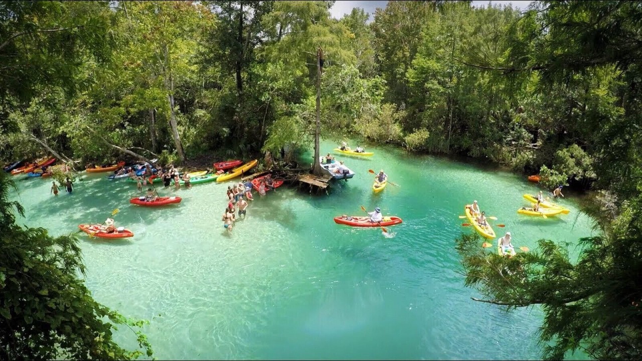 Photo of Outdoor in Port Richey