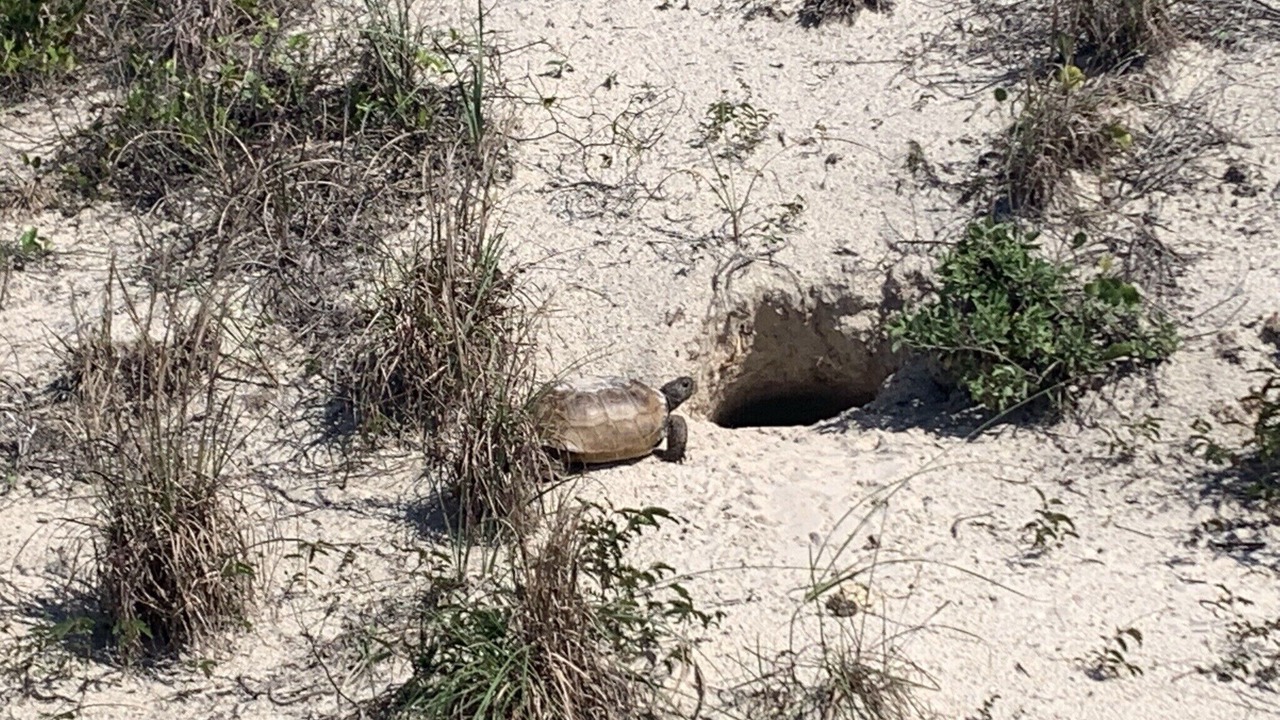 Photo of Outdoor in Point East