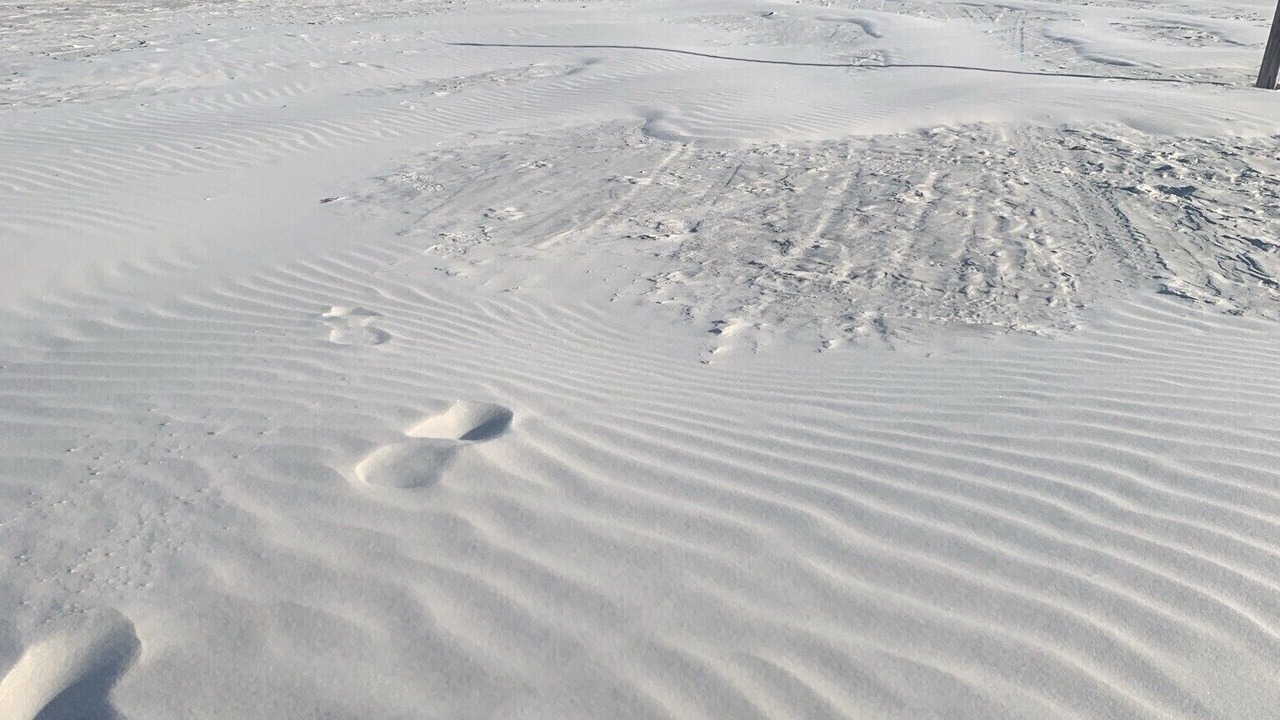 Photo of Others in Point East