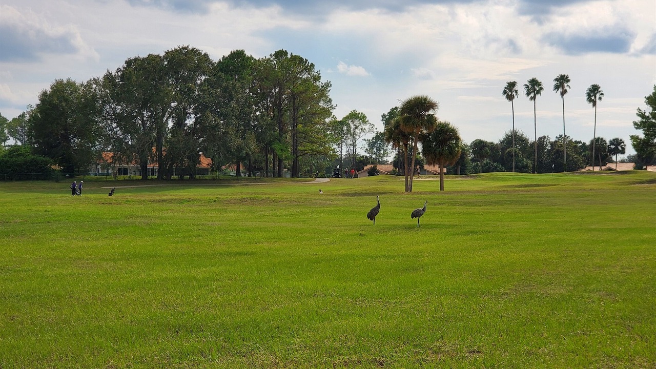 Photo of Others in Clermont