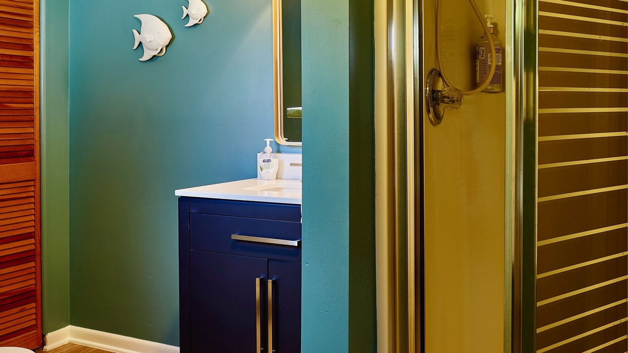 Photo of Bathroom in Indian River Estates