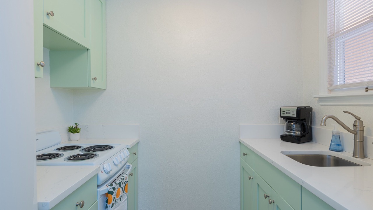 Photo of Kitchen in Dunedin