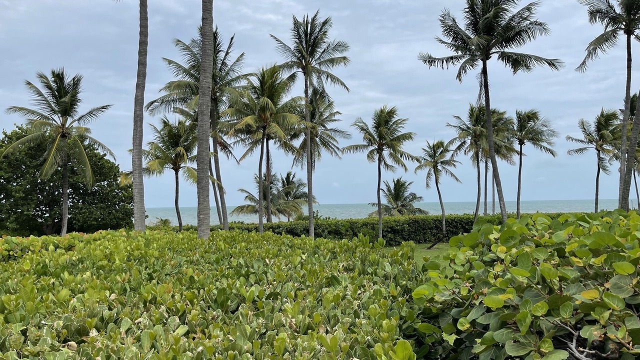 Photo of Others in Key Biscayne