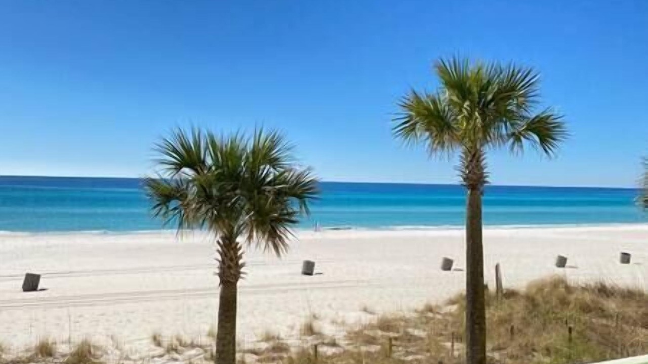 Photo of Others in Miramar Beach