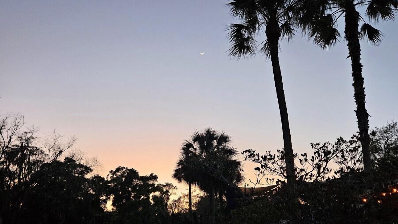 Photo of Outdoor in Weeki Wachee Gardens