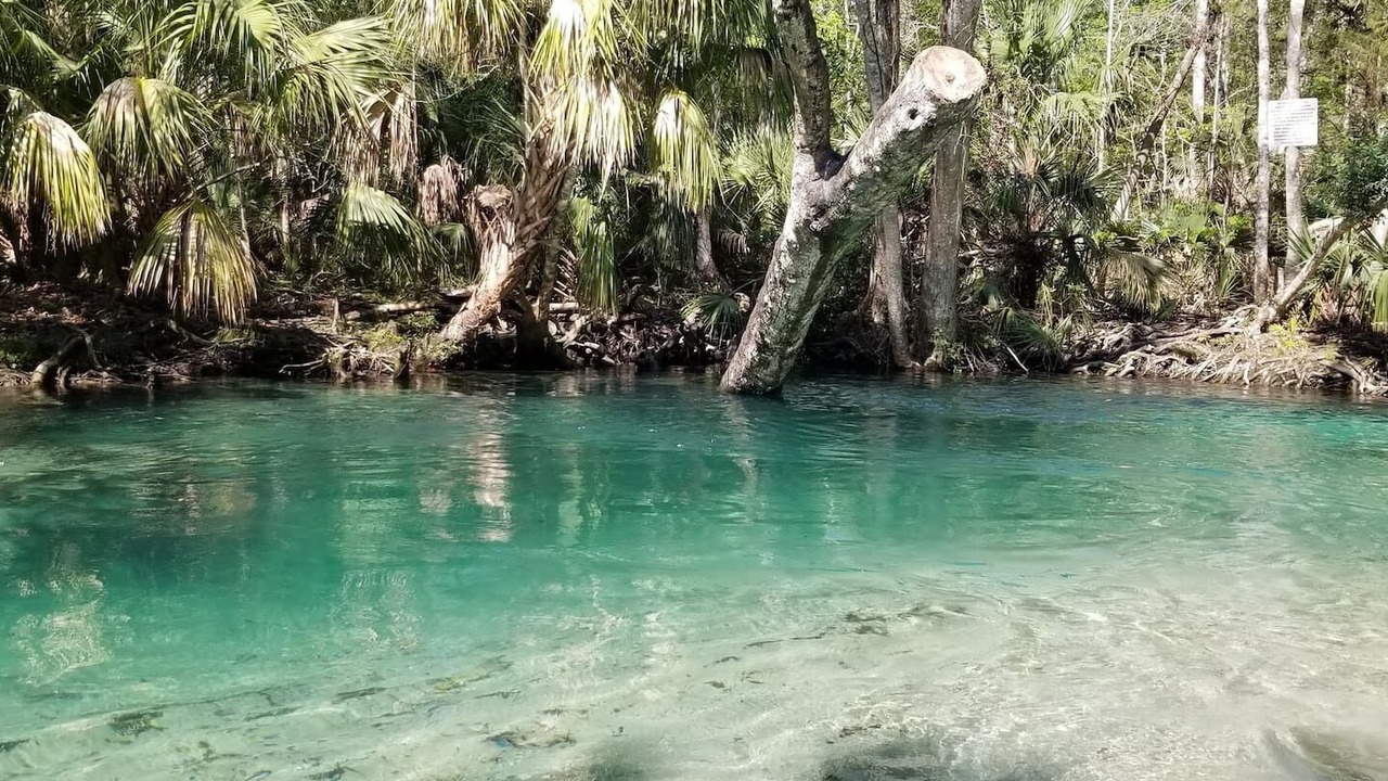 Photo of Others in Weeki Wachee Gardens