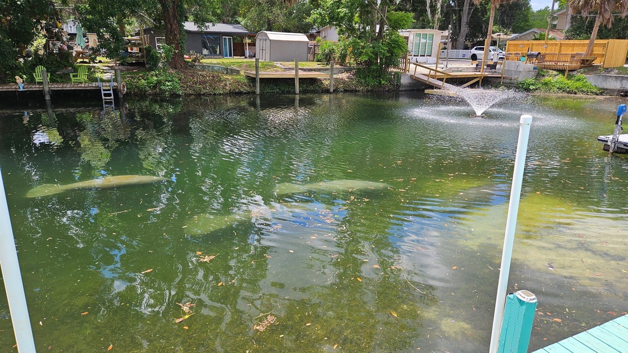 Photo of Outdoor in Weeki Wachee Gardens