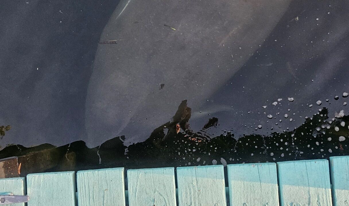 Photo of Outdoor in Weeki Wachee Gardens