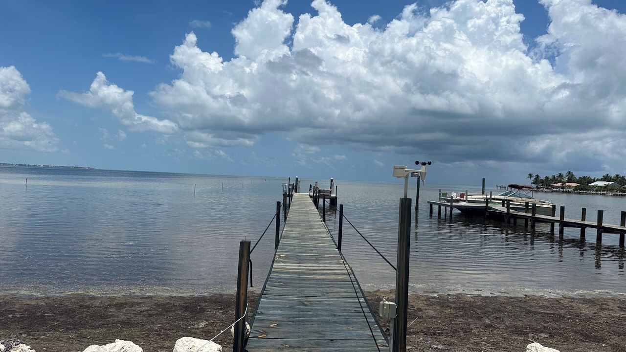 Photo of Others in Tingler Island