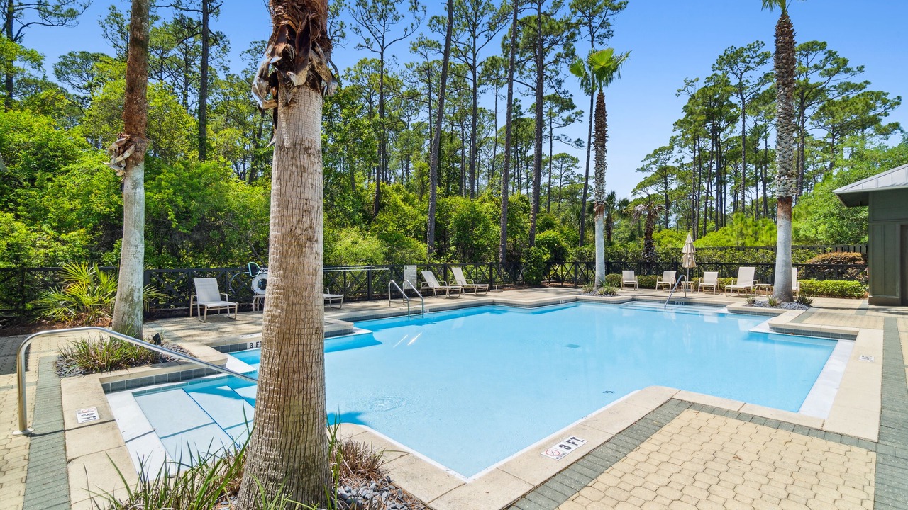 Photo of Outdoor in Treetop