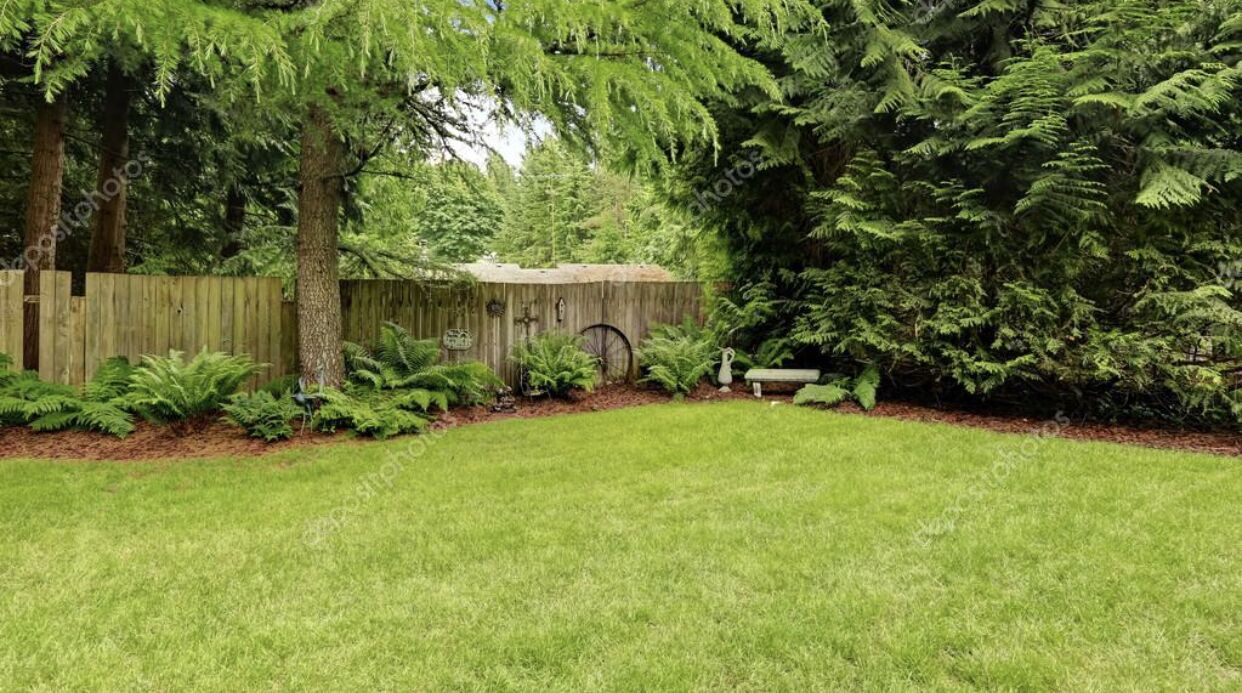 Photo of Outdoor in Pine Hills