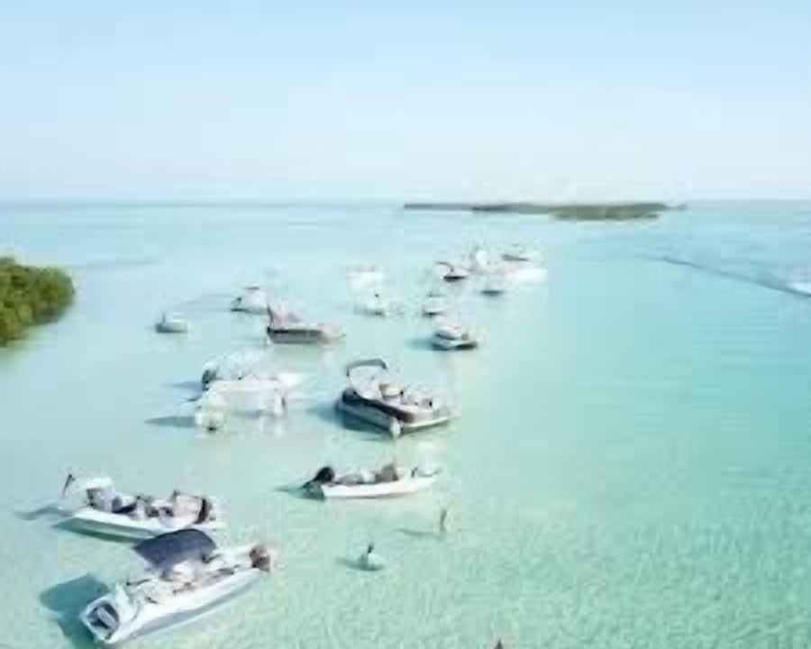 Photo of Others in Summerland Key