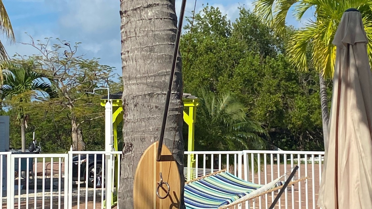 Photo of Others in Summerland Key