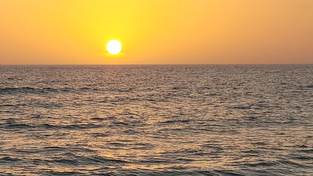 Photo of Others in Bradenton Beach