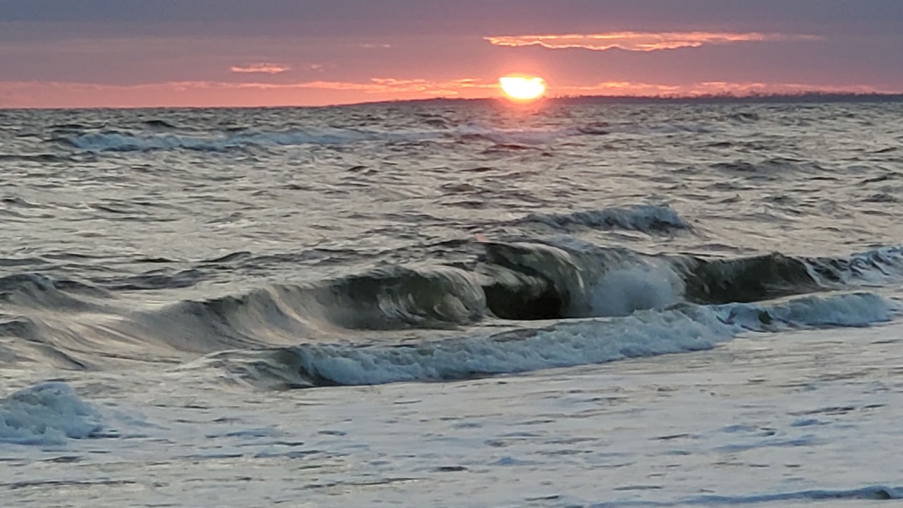 Photo of Others in Mexico Beach