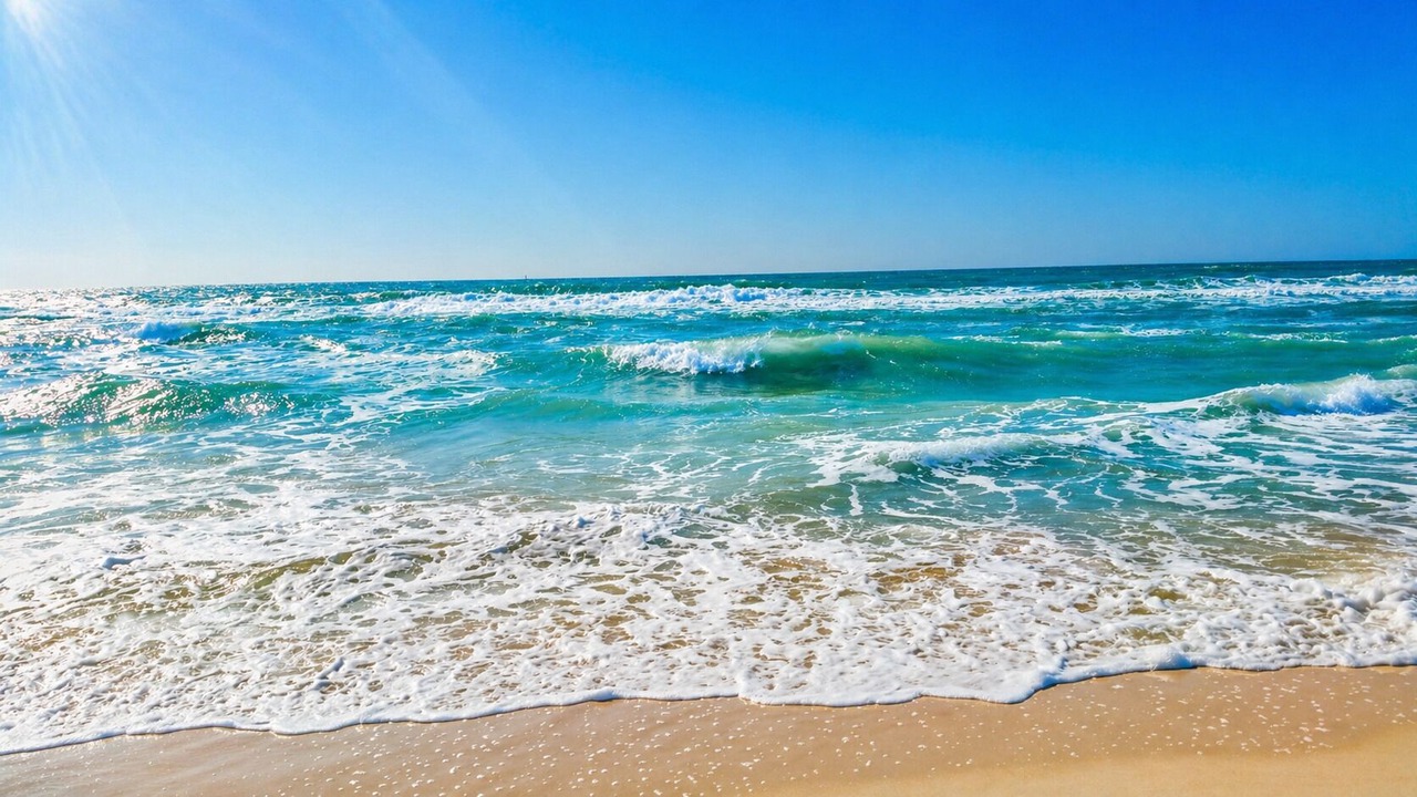 Photo of Others in Mexico Beach