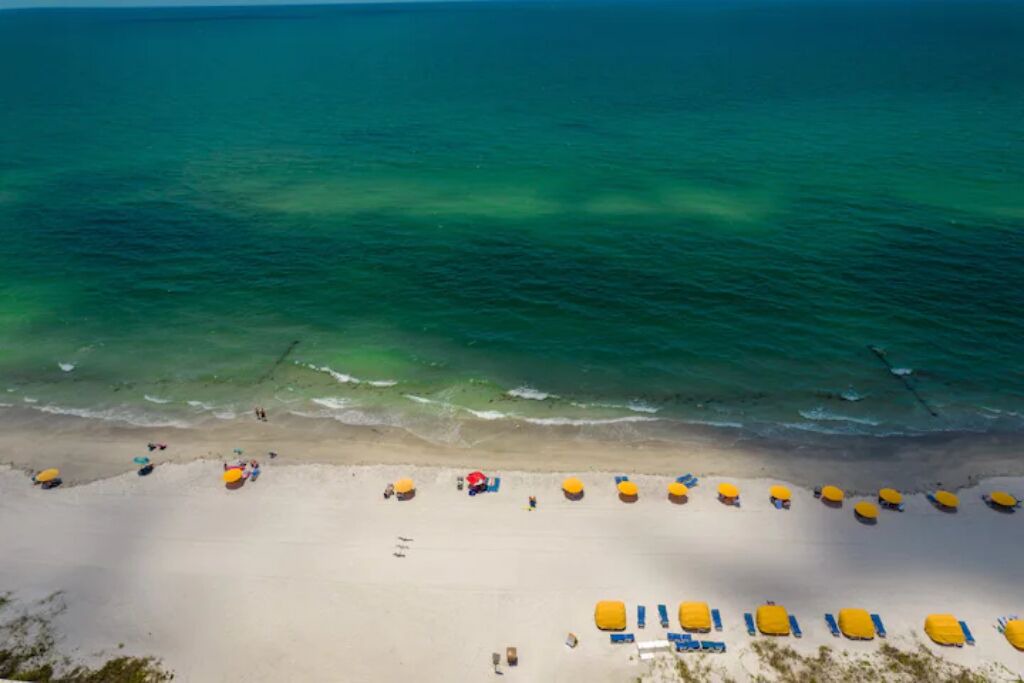 Photo of Others in Madeira Beach