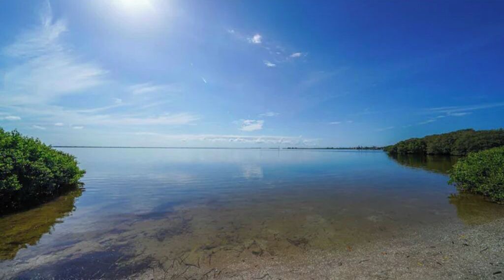 Photo of Others in Whitney Beach