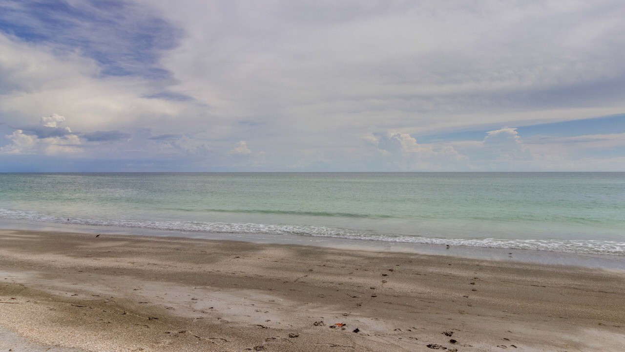 Photo of Others in Longboat Key