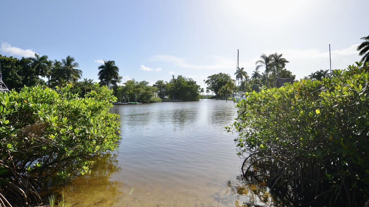 Photo of Outdoor in North River Shores