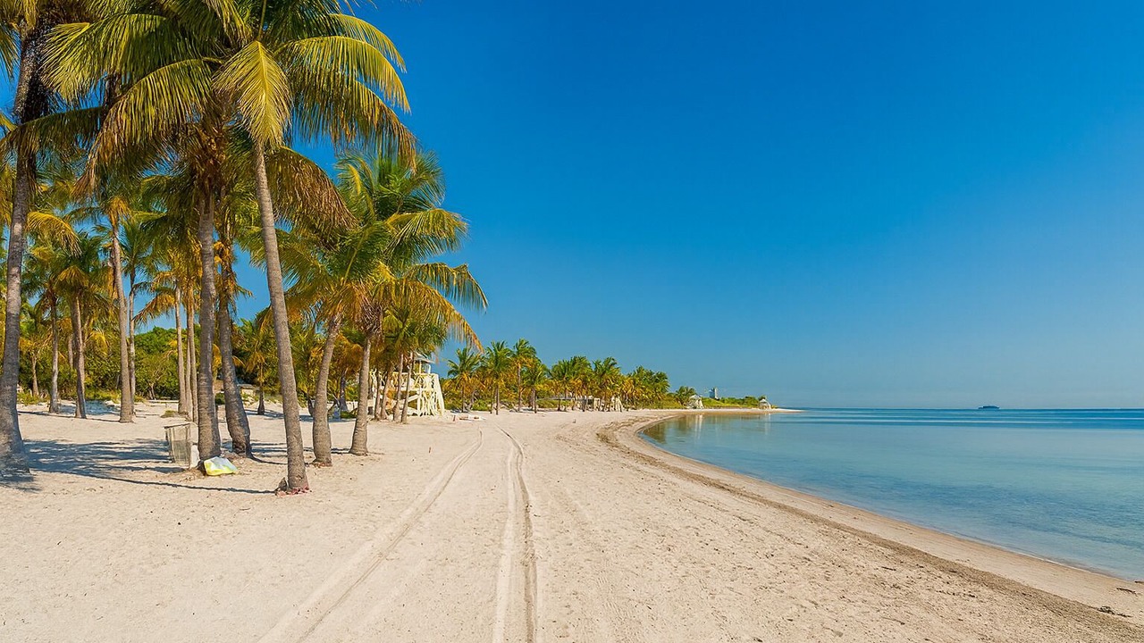 Photo of Others in Key Biscayne