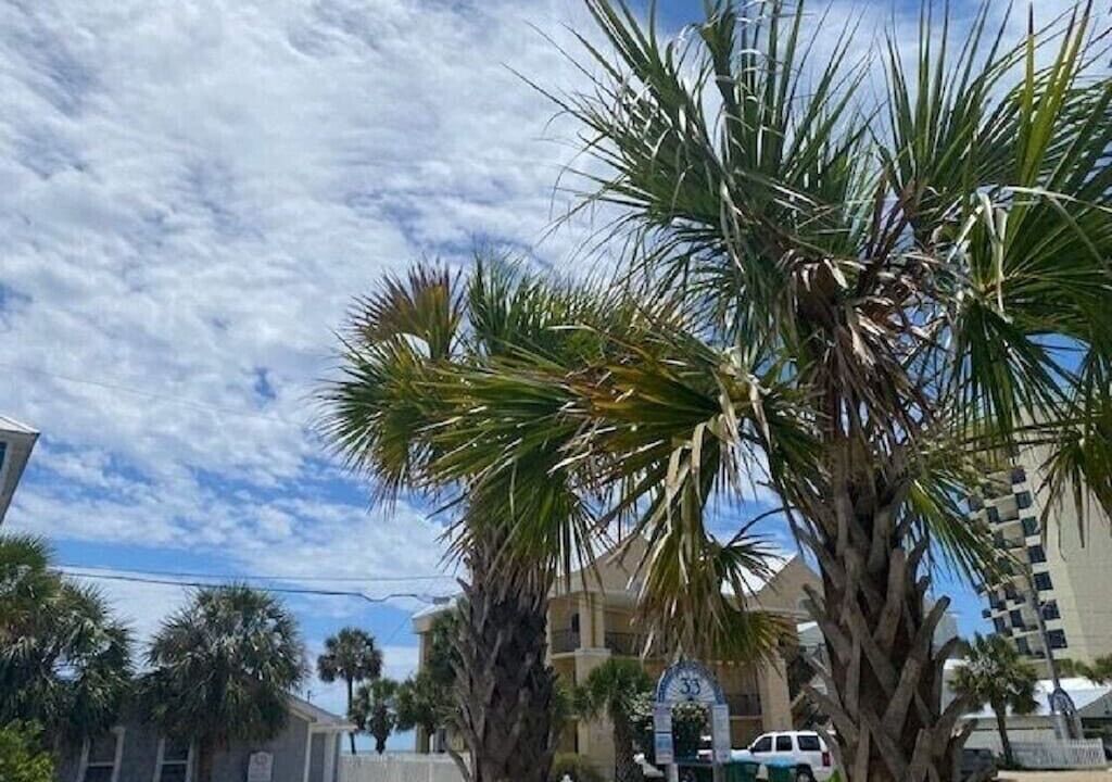 Photo of Outdoor in Panama City Beach