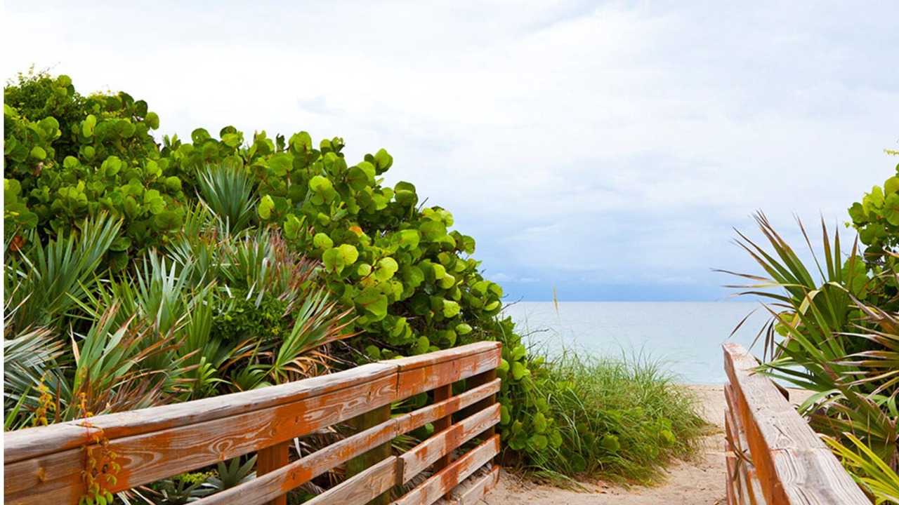 Photo of Outdoor in Hutchinson Island South