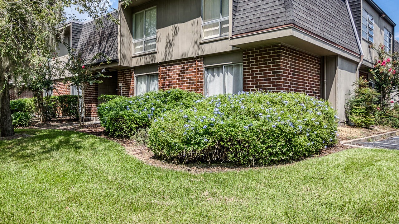 Photo of Outdoor in Gainesville