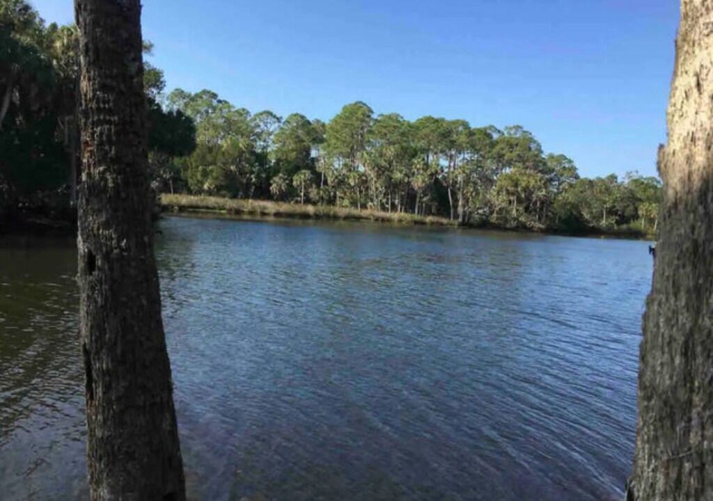 Photo of Others in Weeki Wachee Gardens