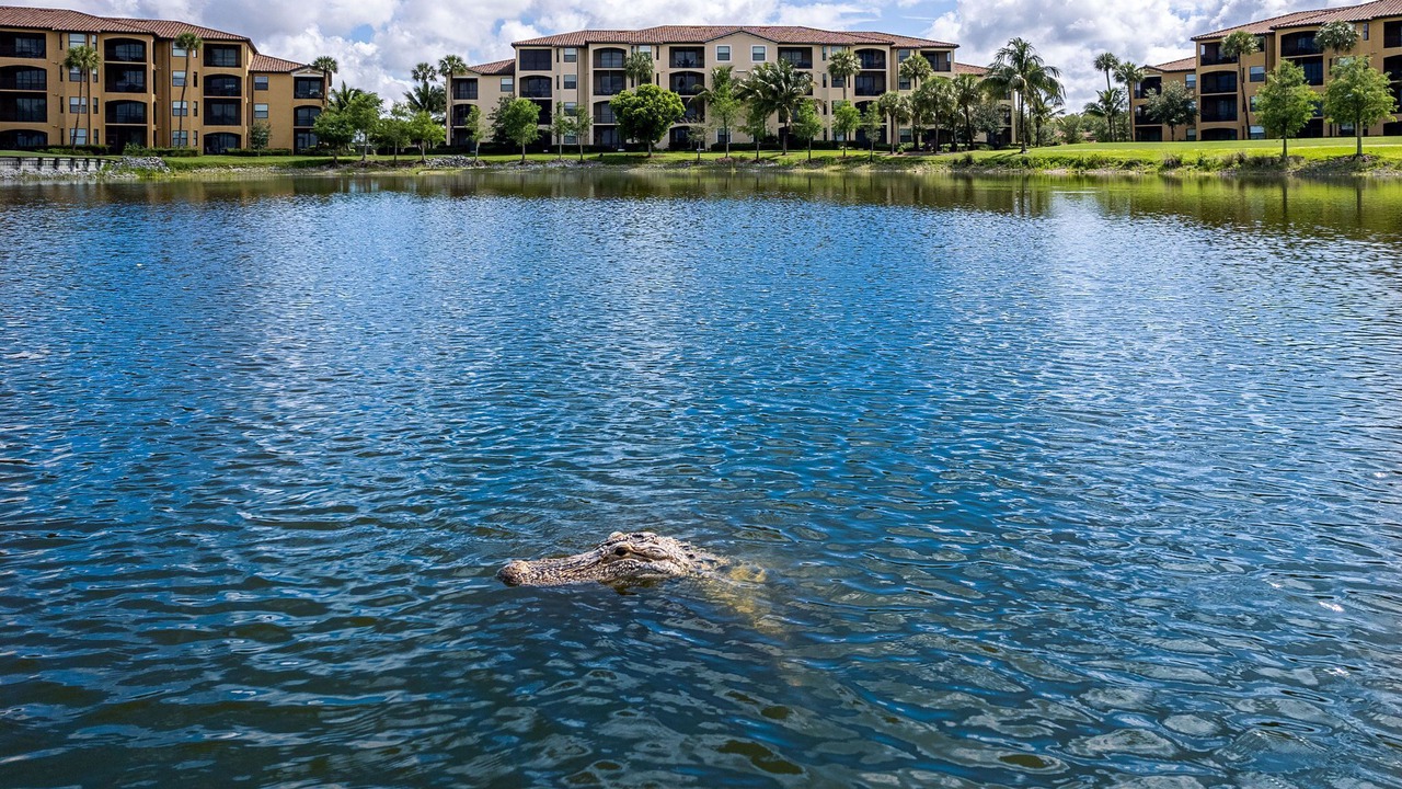 Photo of Outdoor in Naples