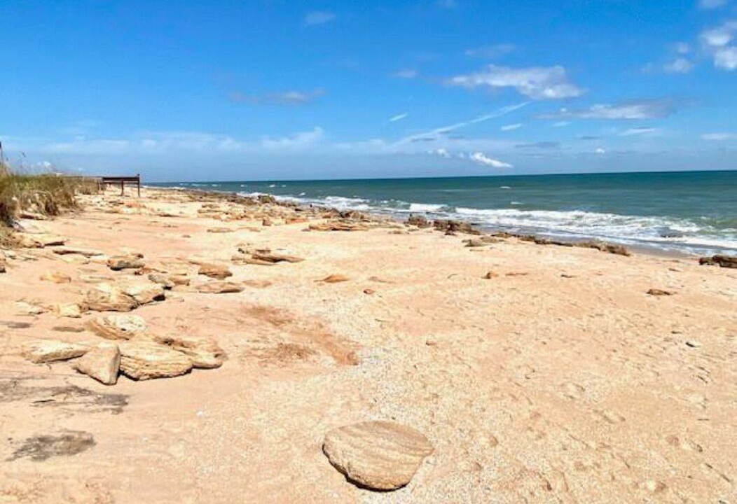 Photo of Others in Palm Coast