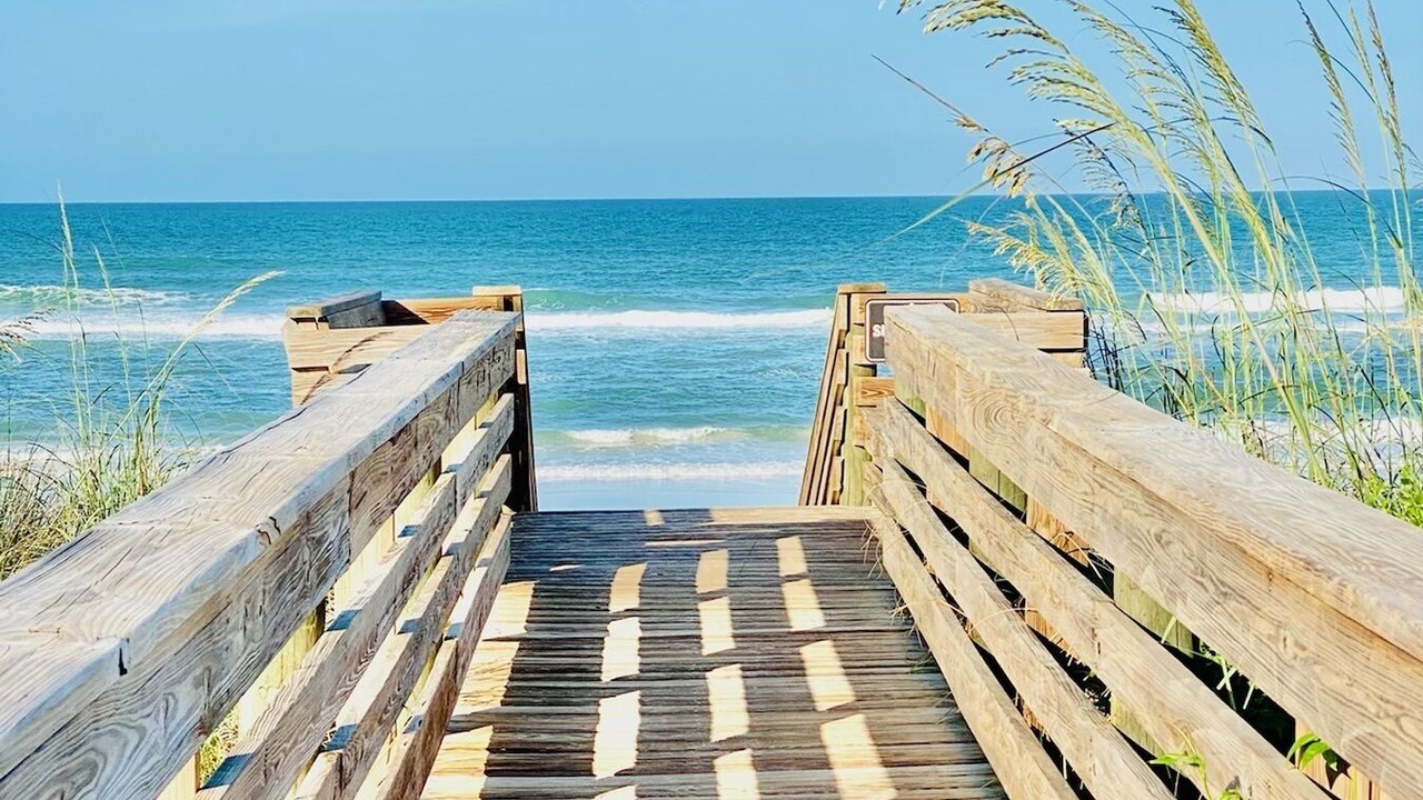 Photo of Others in Palm Coast