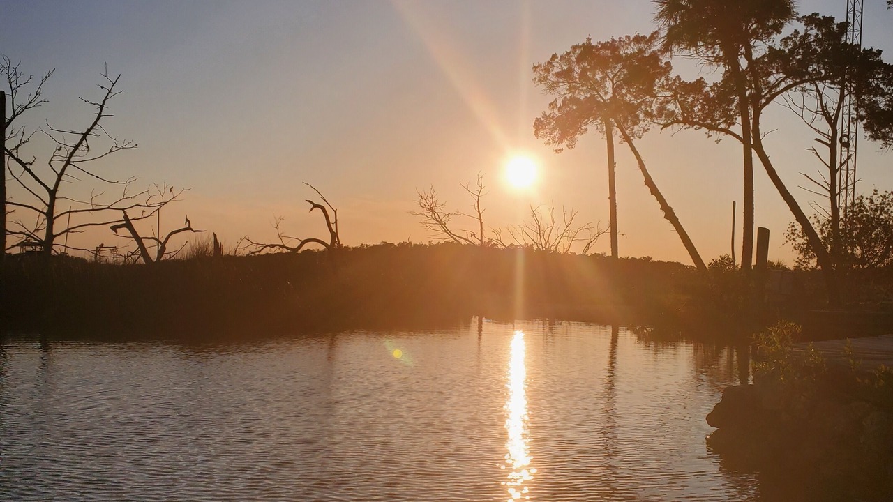 Photo of Outdoor in Homosassa