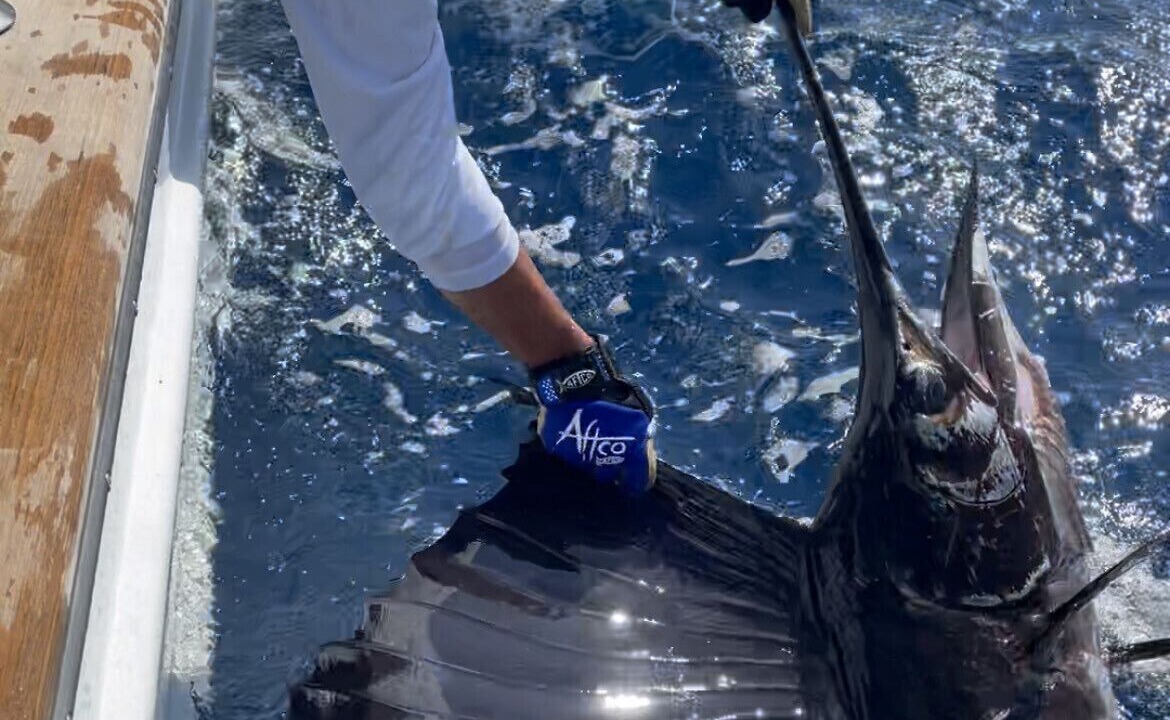 Photo of Others in Cross Key Waterways