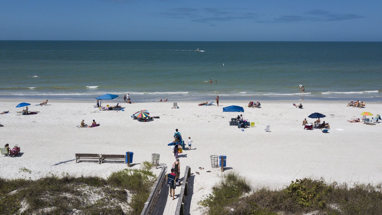 Photo of Others in Indian Rocks Beach