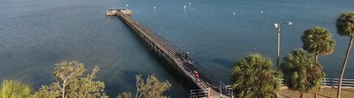 Photo of Others in Safety Harbor