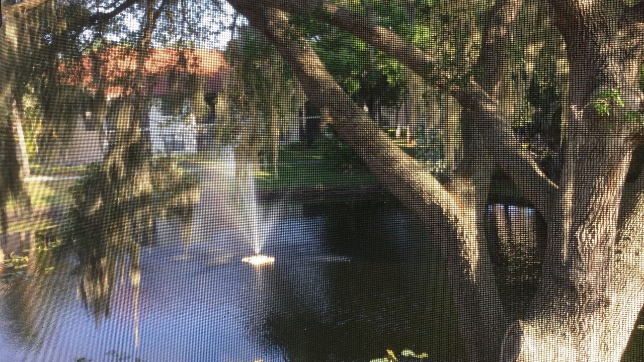 Photo of Outdoor in Trailer Estates