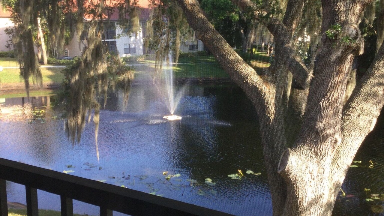 Photo of Outdoor in Trailer Estates