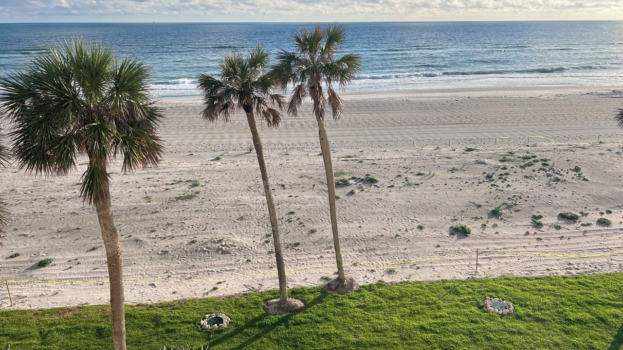 Photo of Others in Longboat Key