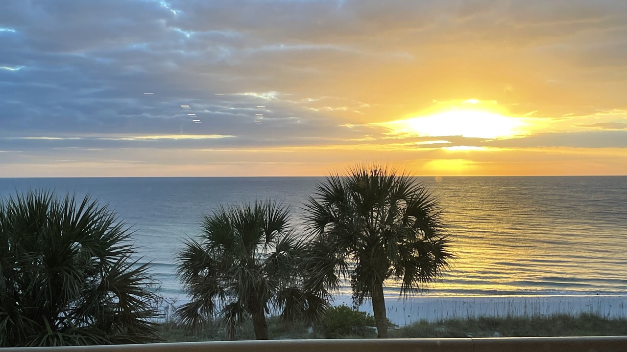 Photo of Outdoor in Longboat Key
