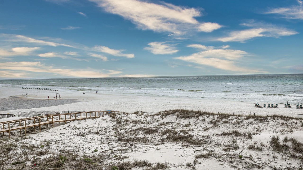 Photo of Others in Seagrove Beach
