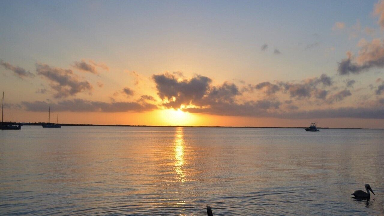 Photo of Others in Key Largo